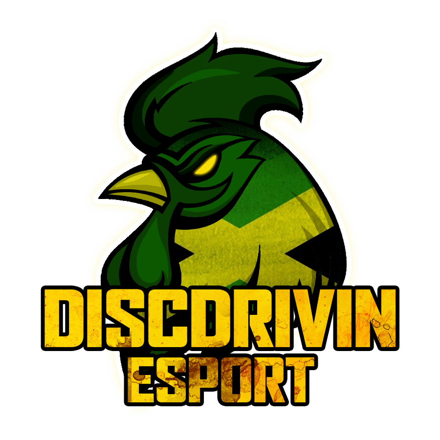 Discdrivin esport sur gapeo.yo.fr
